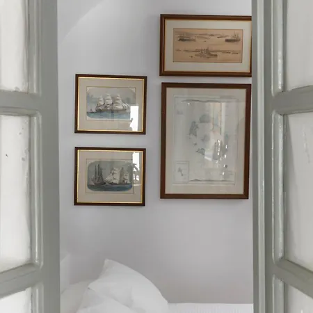 Nautilus 피로스테파니