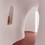 Nautilus *